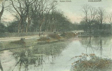 'The Rush Pond, Chislehurst' from an old postcard.